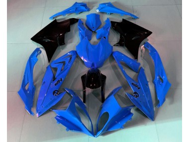 2009-2014 Alien Bleu & Blanc BMW S1000RR Carénage Moto