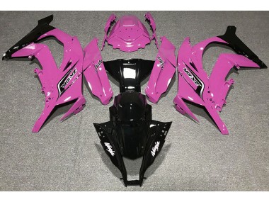 2011-2015 Rose Brillant & Logos Kawasaki ZX10R Carénage Moto