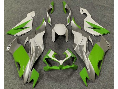 2019-2023 Vert Blanc & Argent Kawasaki ZX6R Carénage Moto
