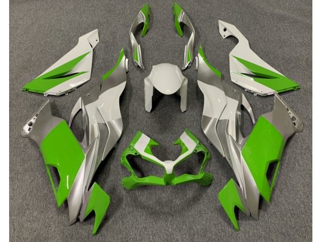 2019-2023 Vert Brillant Blanc & Argent Kawasaki ZX6R Carénage Moto